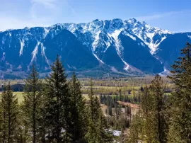 8203 MERLOT PEAK DRIVE, Pemberton, Pemberton, BC