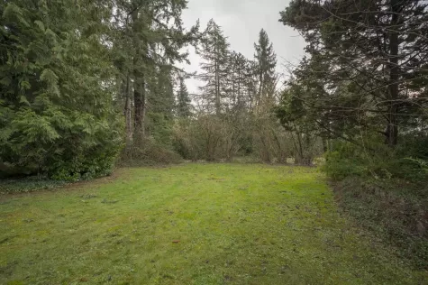 Lot 3 12646 54 AVENUE image #1