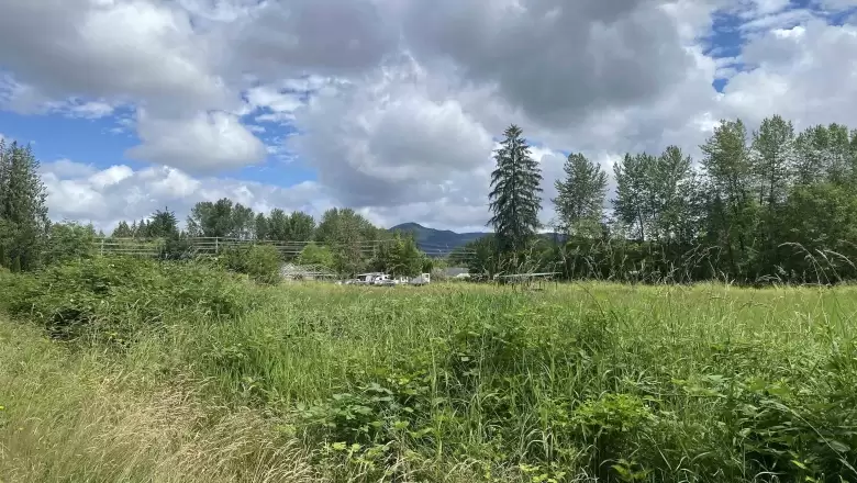 25038 DEWDNEY TRUNK ROAD image #1