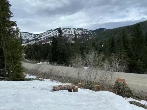 20579 EDELWEISS DRIVE image #1