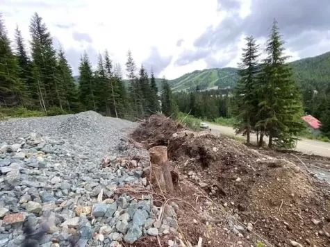 20579 EDELWEISS DRIVE image #2