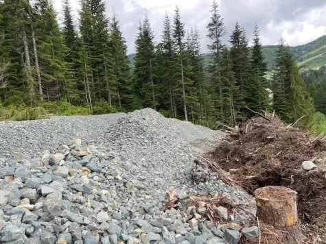20579 EDELWEISS DRIVE image #3