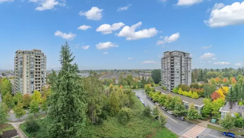 1109 9099 COOK ROAD image #1