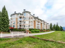 319 3629 DEERCREST DRIVE, North Vancouver, North Vancouver, BC